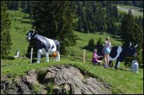 Bauernolympiade Ostschweiz